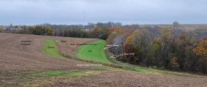 Prairie STRIP in crop field
