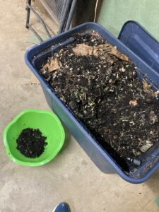 Vermicompost Bin