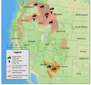 Figure 1. Map of range riding research areas in the Western USA. The larger Conflict on Working Lands Conservation Innovation Grant that this Western SARE Grant supported was also tasked with evaluating the effectiveness of carcass management as a nonlethal tool and locations are mapped here. Approximate wolf and grizzly bear range as of 2025. Mexican wolf range from USFWS. Credits: USFWS, Mapbox, icons from Gan Khoon Lay and Jems Mayor. Reproduced from Hyde et al., 2026 (in press), with permission.
