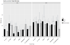 Figure 4: Weed biomass observed at the time of crop harvest for each cover crop treatment and seeding rate, high (black), low (white), and the recommended rate (grey) at Cache Junction Research Farm in 2020 and 2021. 