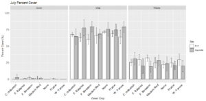 Figure 9: Average percent cover for the locations inter-seeded at the time of grain crop seeding, Kaysville Research Farm (grey) and Field 17 (white), for the grain crop, cover crops, and weeds observed in July of 2021. 