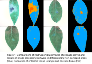 Figure1