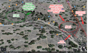 Field Diagram 2