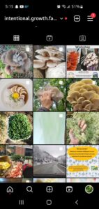 Intent Growth Farm Instagram
