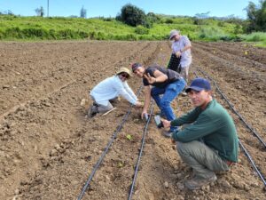 Transition course field practices