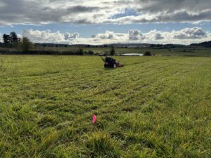Site prep., mowing at Zylstra