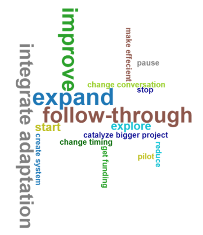 word cloud showing the frequency of types of adaptation actions