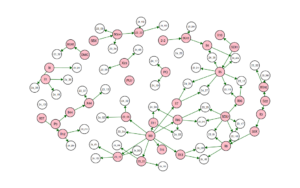Visual pedigree for test colonies and all known ancestors