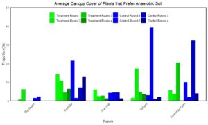 anaerobicsoil plants