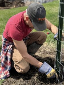 Tree Care