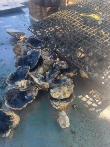 august tumble schedule