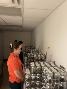 Researchers from the UIUC soils lab assisiting with soil odor testing to determine if farmers can estimate soil heath through odor