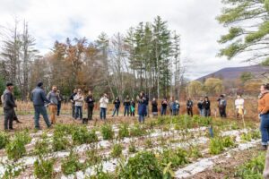 a group of people standing next to rows of pepper plants on a farm