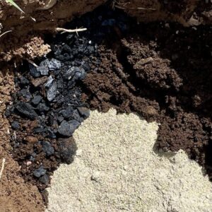 Biochar and amendment