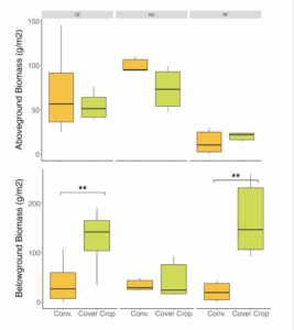 Two box plots of aboveground and belowground biomass at all three sitse.
