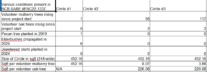 Chart: Various conditions present in project (volunteer trees, other plants, and density of volunteer trees)