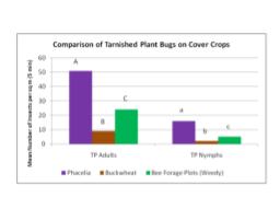 Figure 6. Comparison of tarnished plant bugs on cover crops with statistical significance.