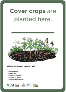 Cover Crops are Planted Here