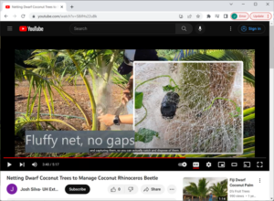 crb_youtubevideo
