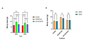 figure showing cultivar difference in berry mass.