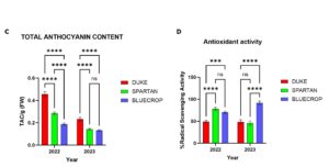 cultivar difference in anthocyanin content and antioxidant activity.