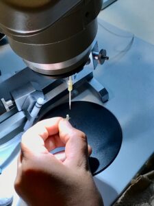 A hand under a microscope shows the process of honey bee drone semen collection