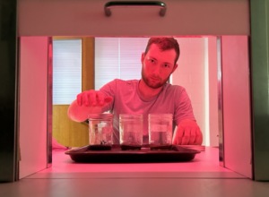 Farmer smelling soil during odor panel under controlled conditions