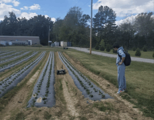 Field Robot