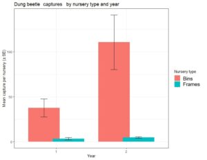 Dung beetle captures across nursery types and years