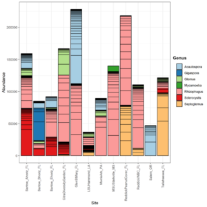 am fungal diversity at survey sites