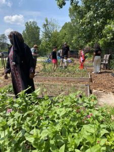 People standing in cut flower garden