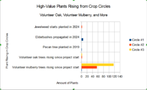 Graph: High-Value Plants Rising from Crop Circles: volunteer oak, volunteer mulberry, and More