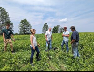 spring cover crop