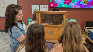 Hillary Robinson pointing out the queen bee in the enclosed hive.