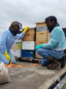 hive on truck