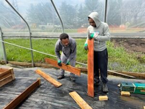 Te'Lario and an adult volunteer putting a raised bed together.