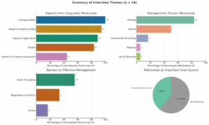 Summary of interview themes