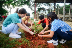 Planting Trees