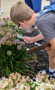Detectives in the garden looking for pollen. 