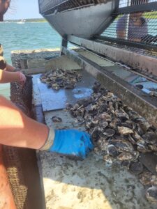 july tumble counting