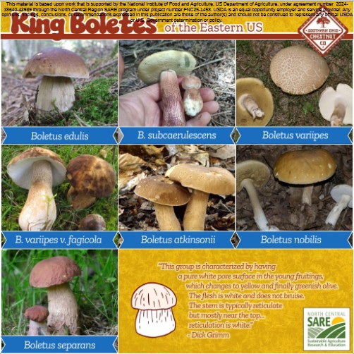 A meme-style infographic showing different King Bolete species of Ohio.