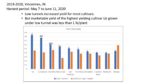 Figure 8. Incorporating low tunnels in an annual plasticulture strawberry production. 2019-20 results. 