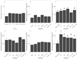 Microbial biomass carbon