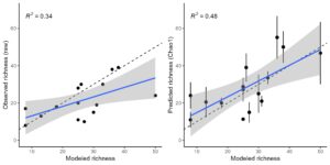 Relationship between plant and bee richness