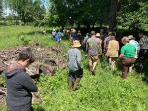Oxheart Field Day