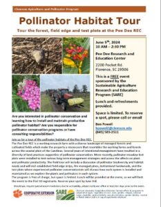 pollinator flyer