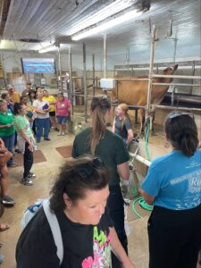 Lawton Tour Pic I