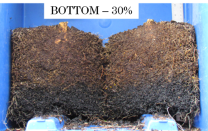 root balls