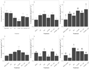 Soil nitrogen mineralization rates