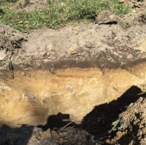 local Technosol soil profile